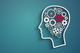 Psychology Brain Gear